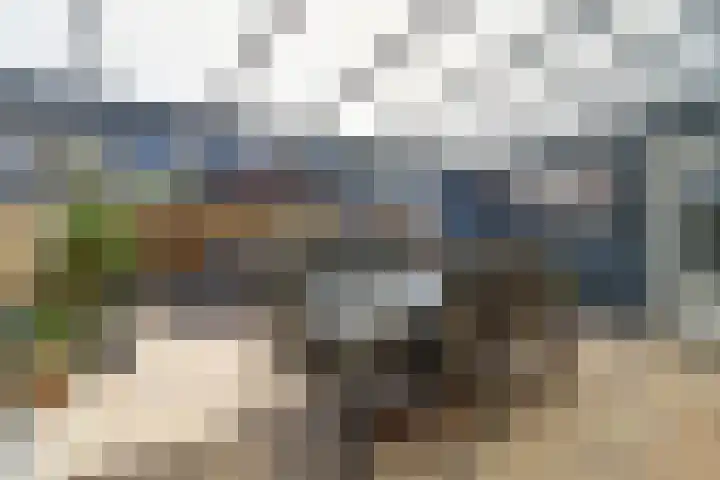 Turijnstraat 12 Eindhoven thumbnail 34