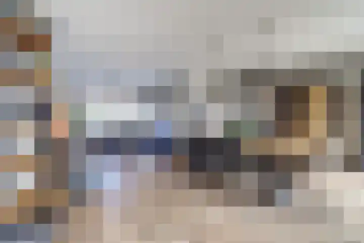 Turijnstraat 12 Eindhoven thumbnail 9