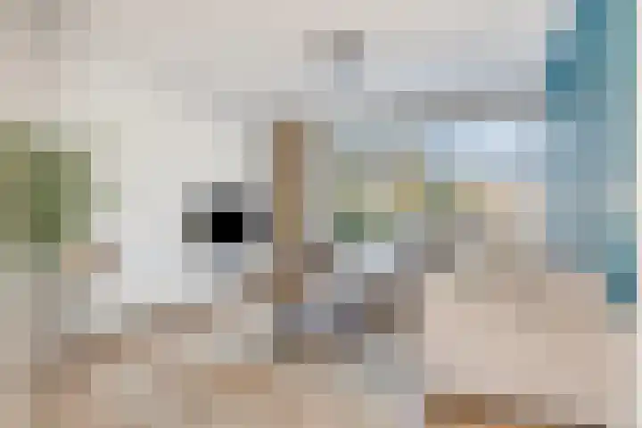 Turijnstraat 20 Eindhoven thumbnail 7