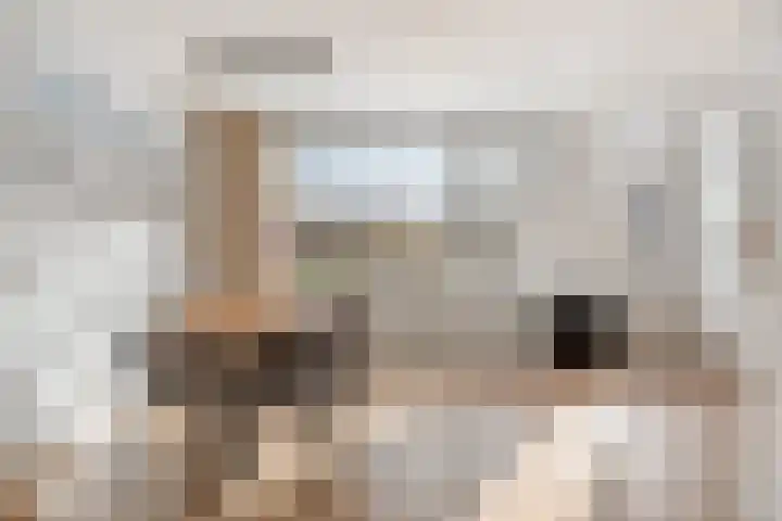 Turijnstraat 20 Eindhoven thumbnail 9