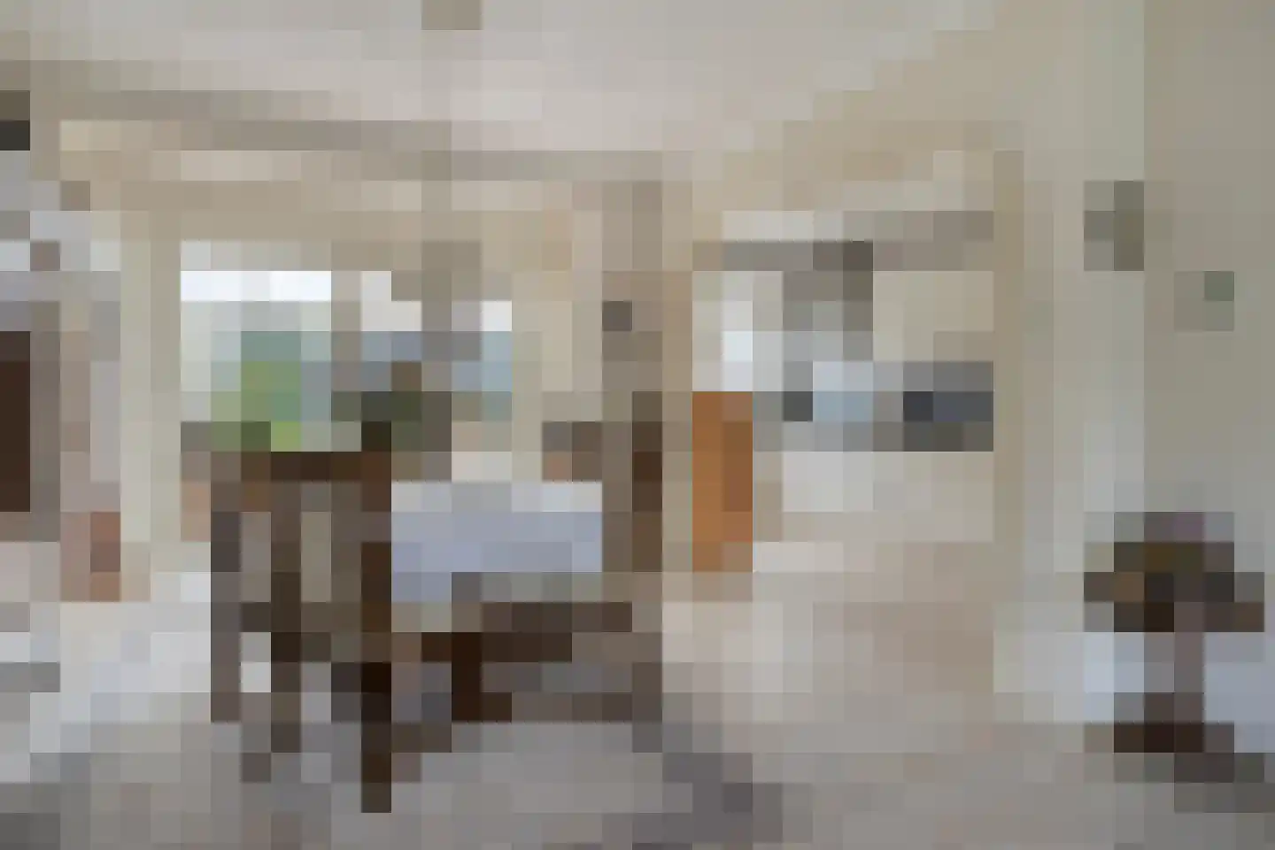 Turijnstraat 7 Eindhoven thumbnail 15