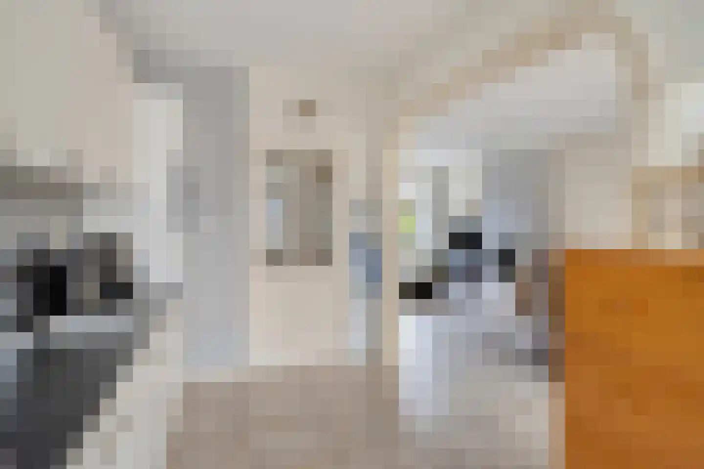 Turijnstraat 7 Eindhoven thumbnail 19