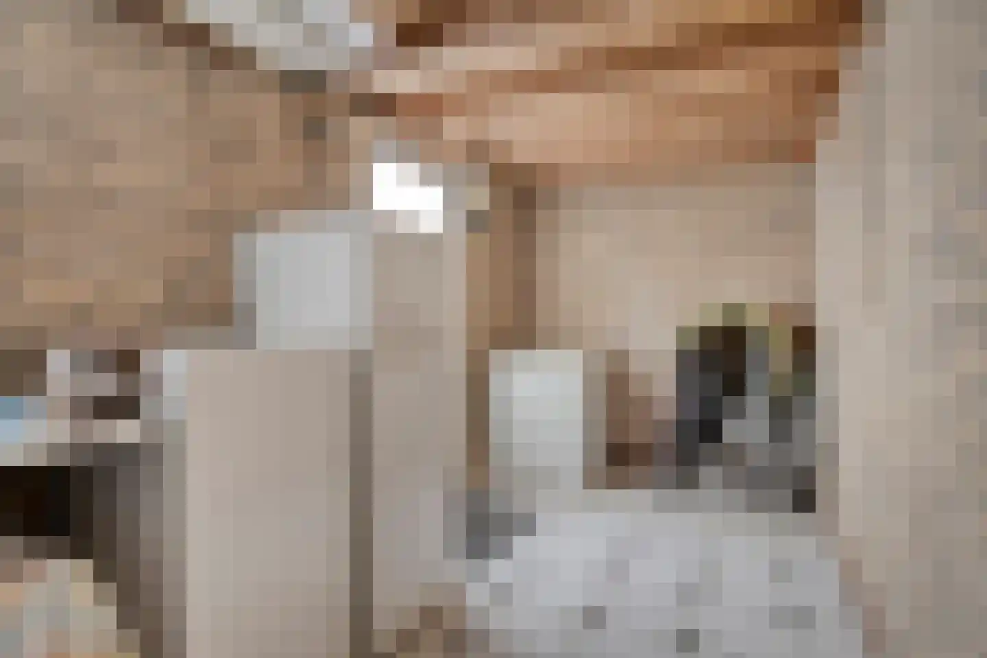 Turijnstraat 7 Eindhoven thumbnail 38