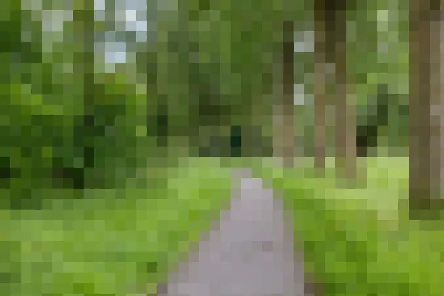 Turijnstraat 7 Eindhoven thumbnail 45