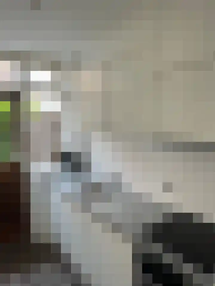 Turk 13 Zwijndrecht thumbnail 4