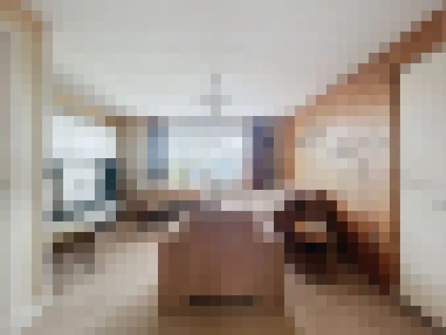 Turkeijeweg 19 Waterlandkerkje thumbnail 6
