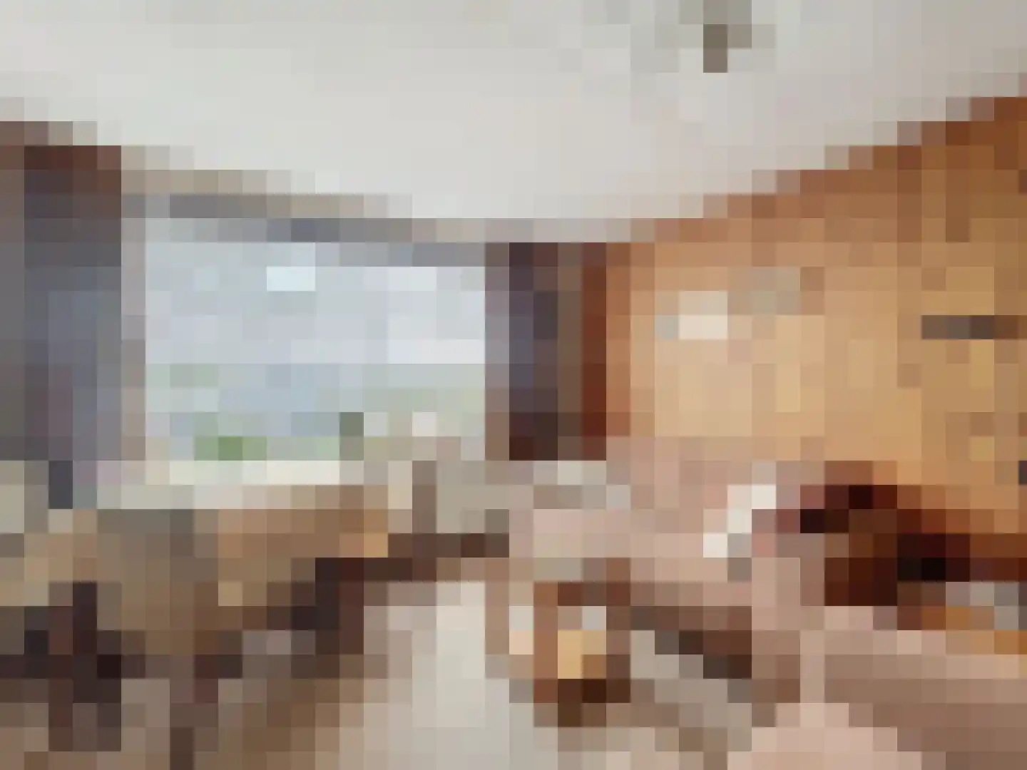 Turkeijeweg 19 Waterlandkerkje thumbnail 7