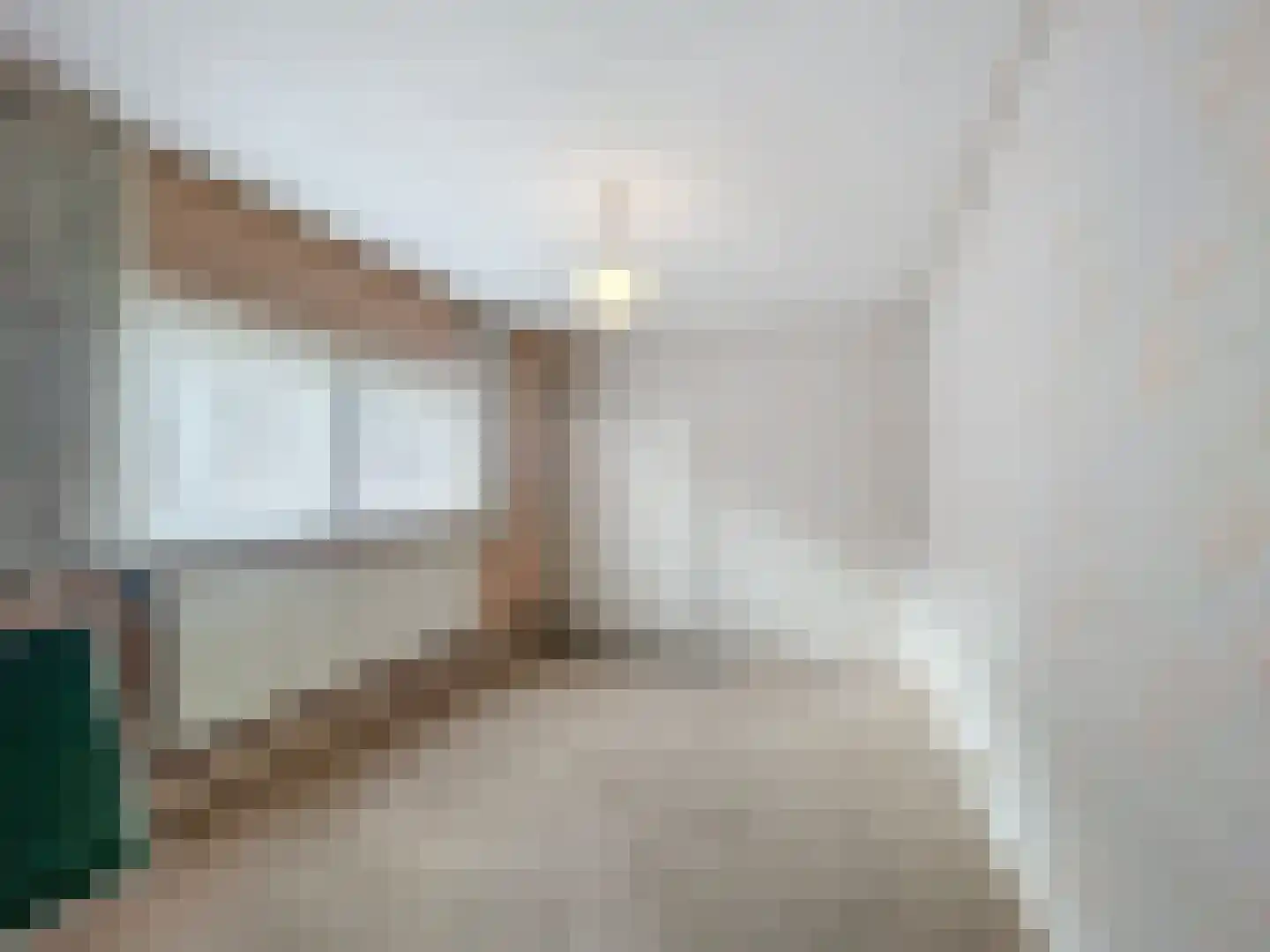 Turkeijeweg 19 Waterlandkerkje thumbnail 9