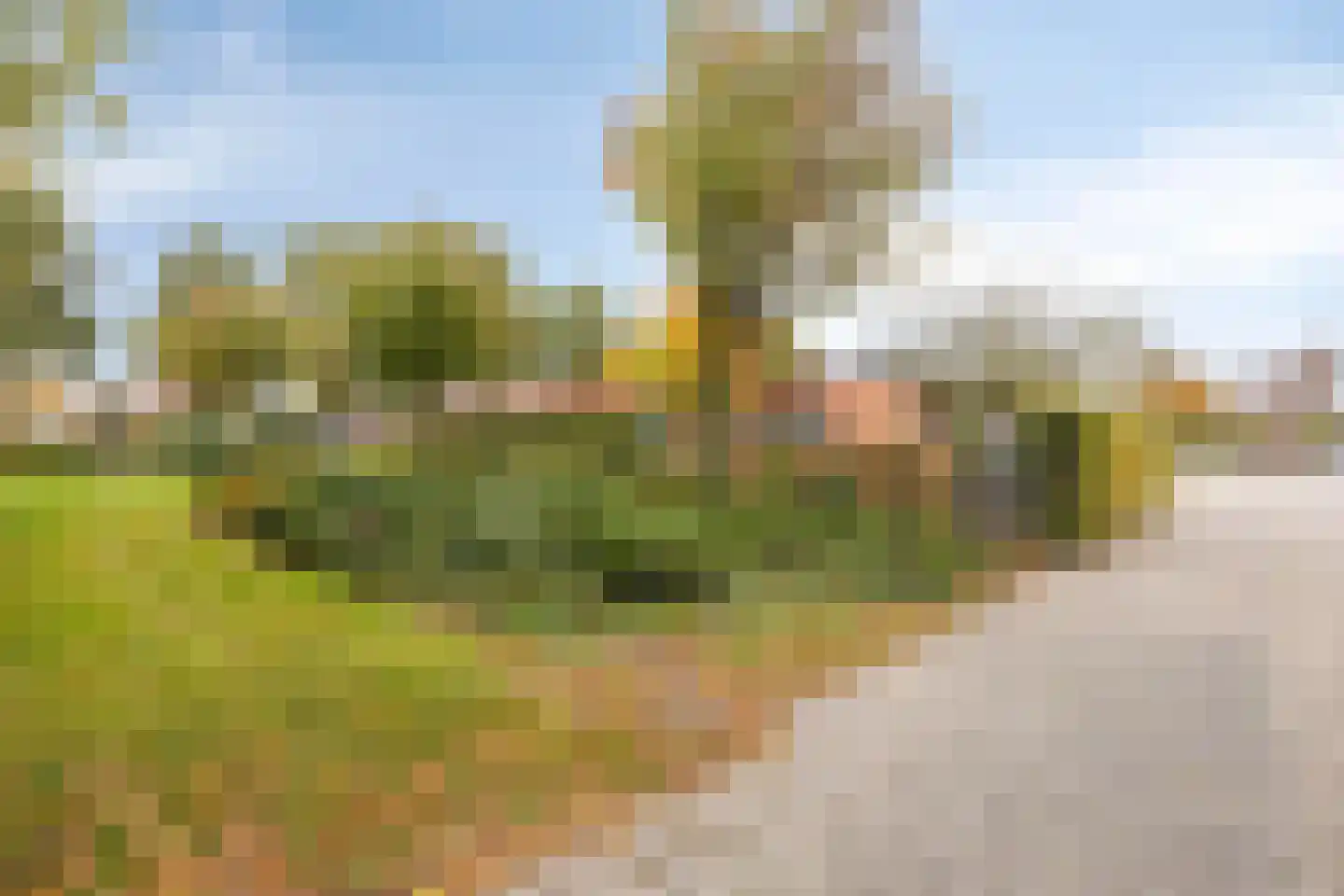 Turkoois 1 Eindhoven thumbnail 37