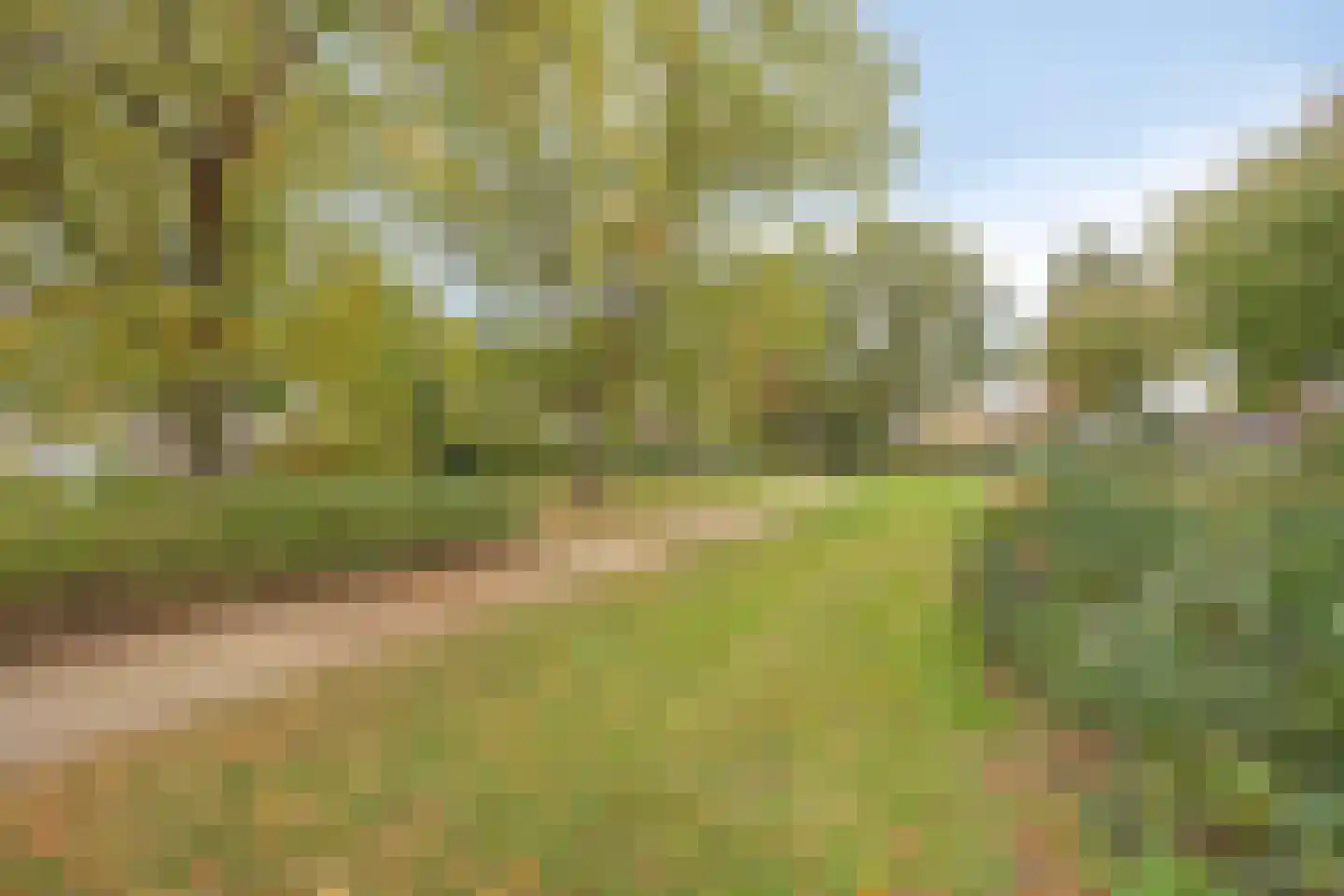 Turkoois 1 Eindhoven thumbnail 38