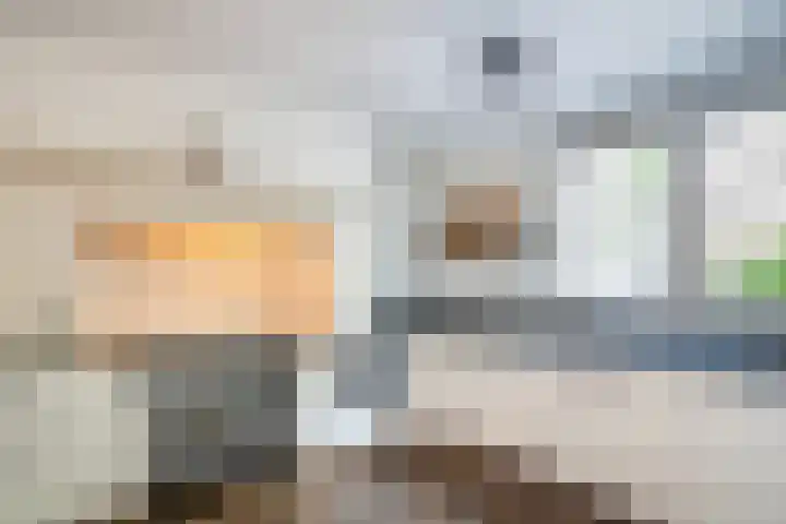 Turkoois 12 Heerhugowaard thumbnail 12