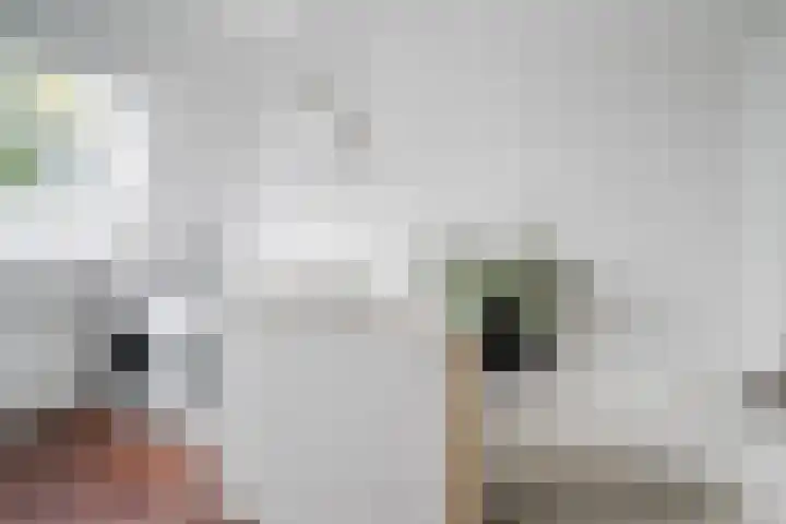 Turkoois 12 Heerhugowaard thumbnail 31