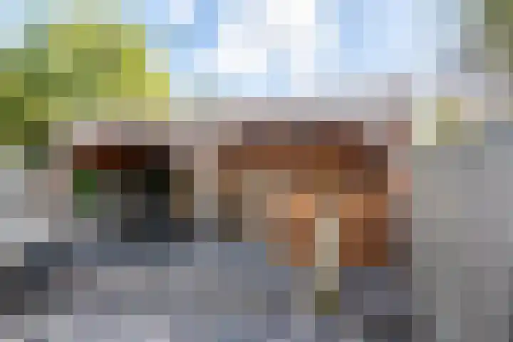 Turkoois 12 Heerhugowaard thumbnail 37