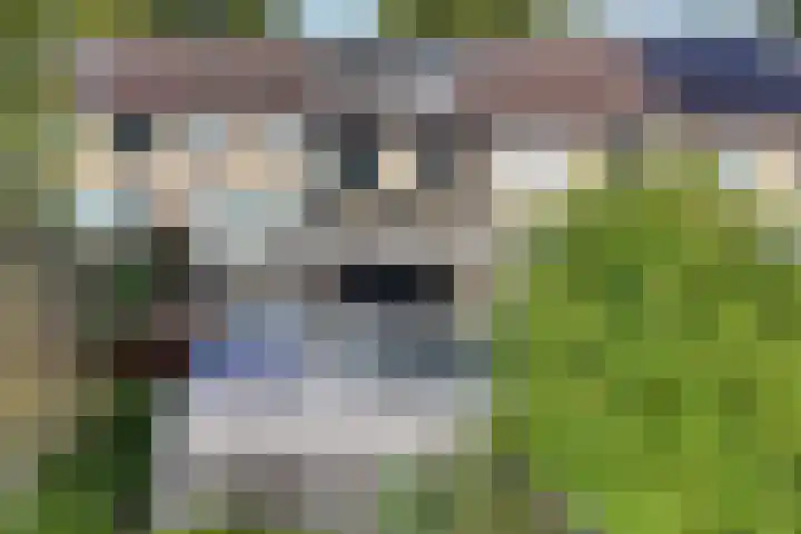 Turkoois 12 Heerhugowaard thumbnail 43