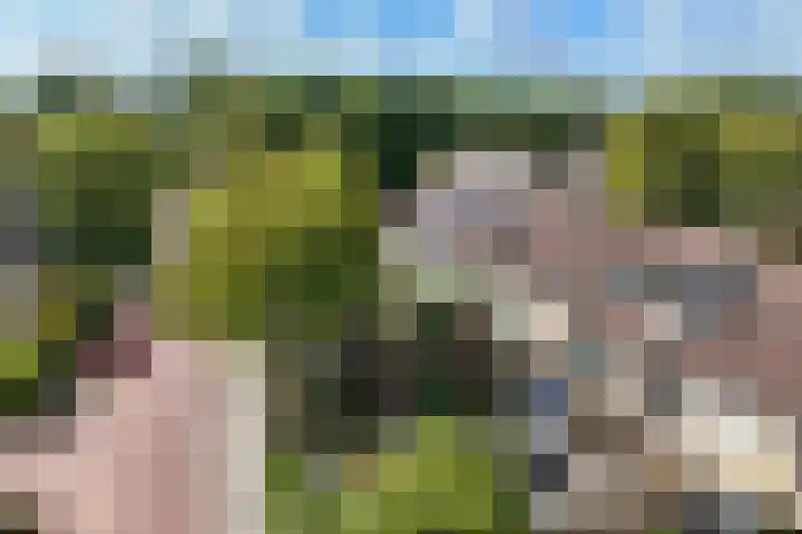 Turkoois 12 Heerhugowaard thumbnail 44