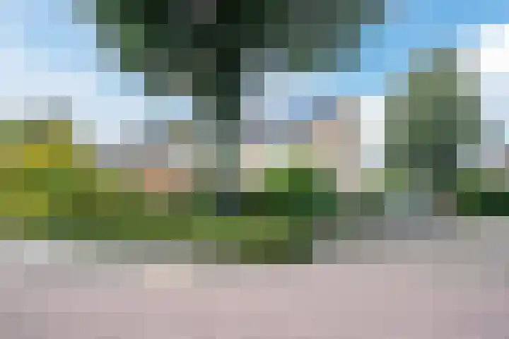 Turkoois 12 Heerhugowaard thumbnail 50