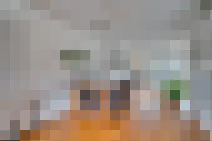 Turkoois 12 Venlo thumbnail 10