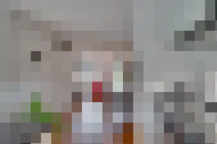Turkoois 12 Venlo thumbnail 17
