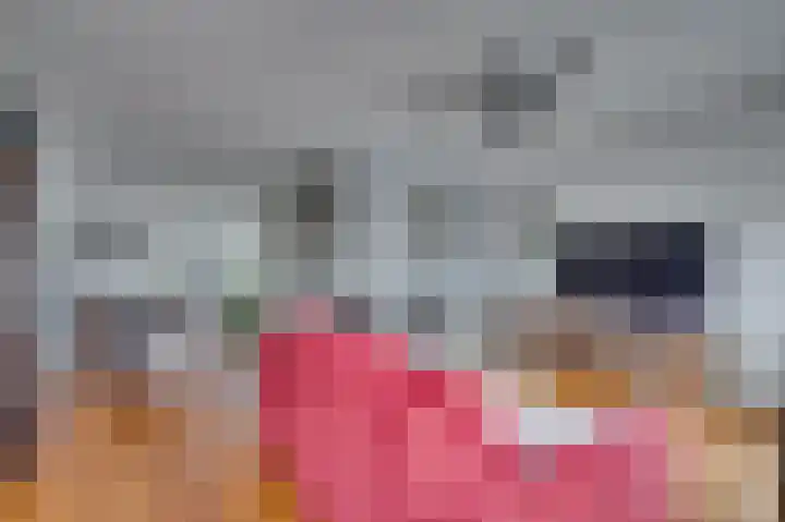 Turkoois 12 Venlo thumbnail 8