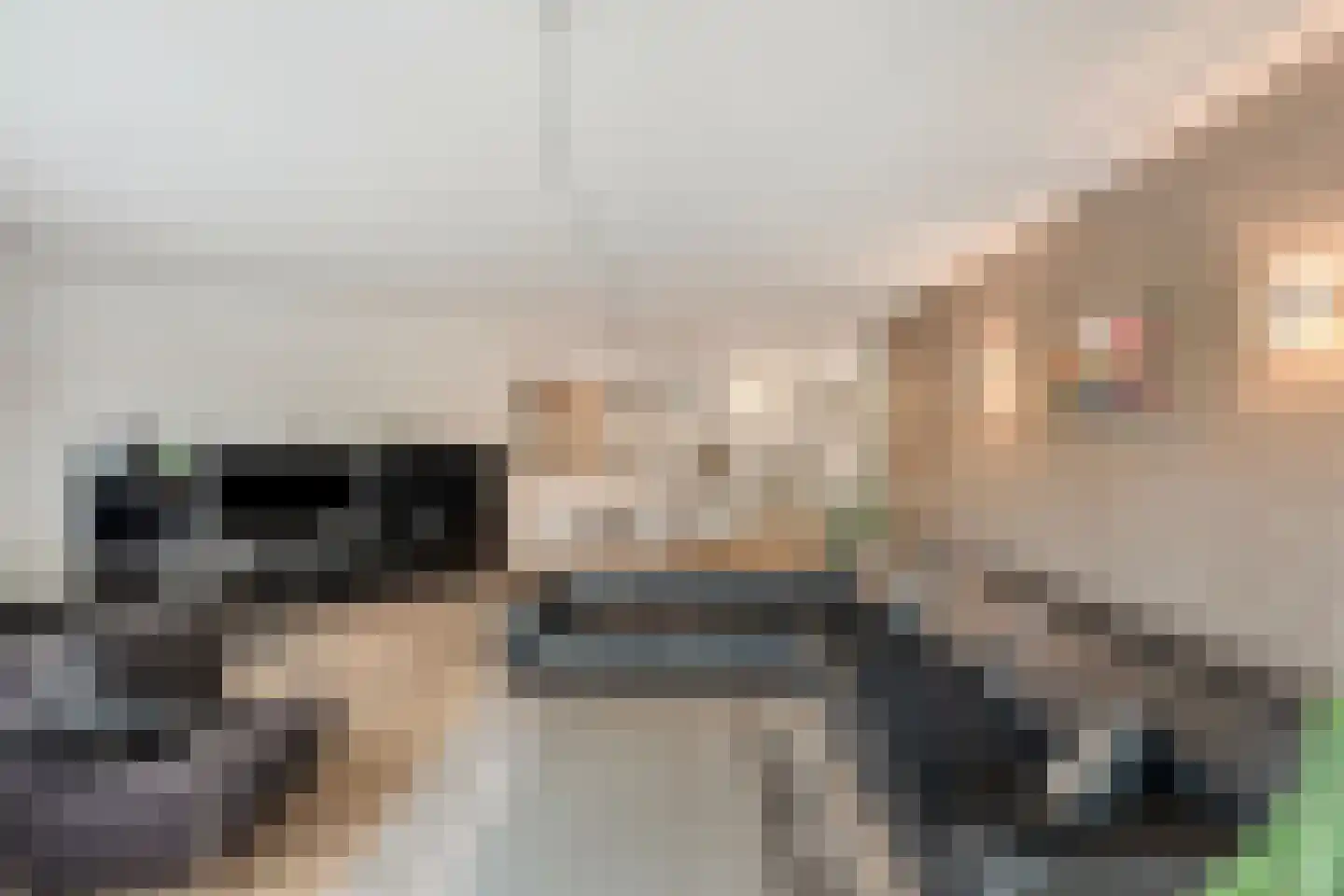 Turkoois 15 Rhoon thumbnail 14