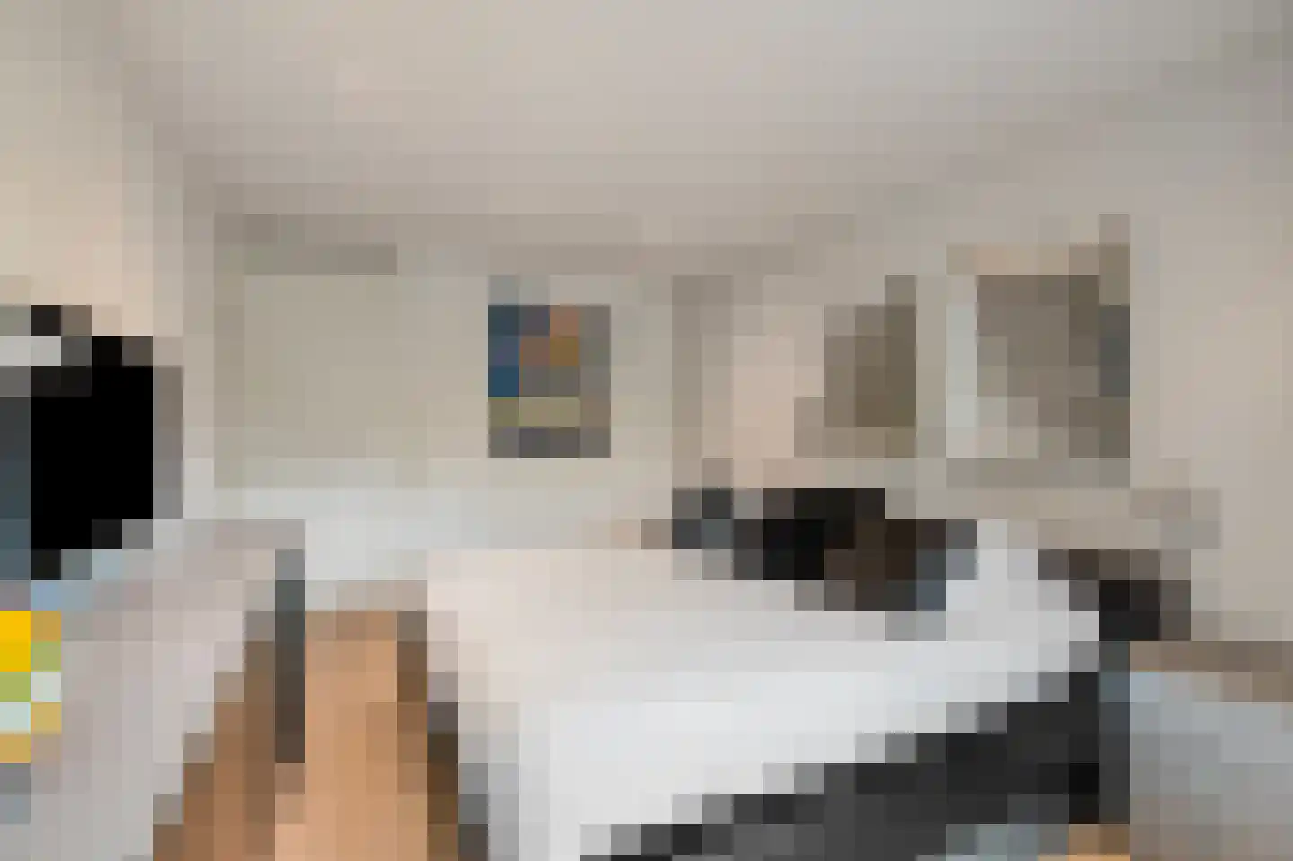 Turkoois 15 Rhoon thumbnail 19