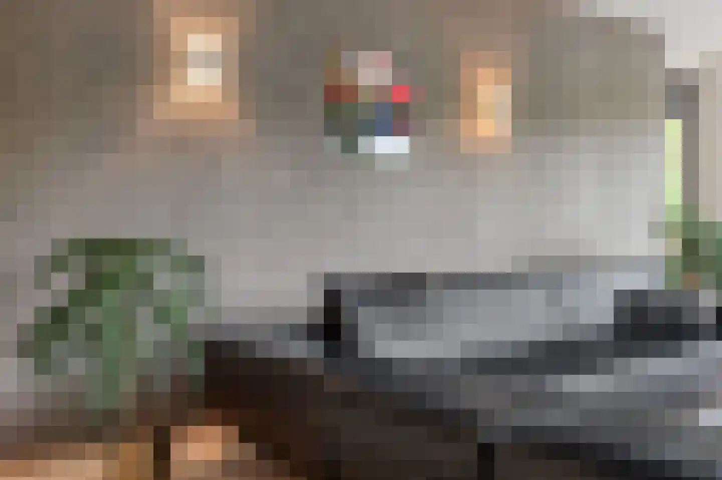 Turkoois 15 Rhoon thumbnail 8