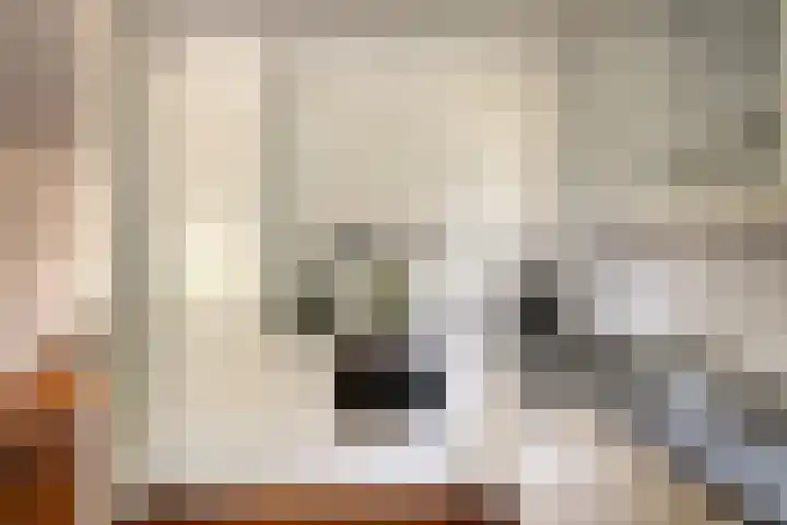 Turkoois 4 Eindhoven thumbnail 18