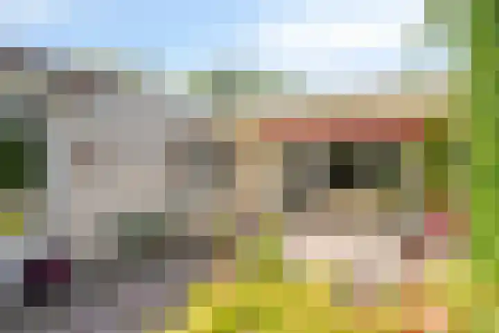Turkoois 4 Eindhoven thumbnail 29