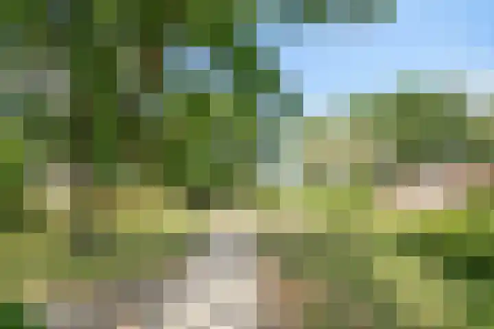 Turkoois 4 Eindhoven thumbnail 36