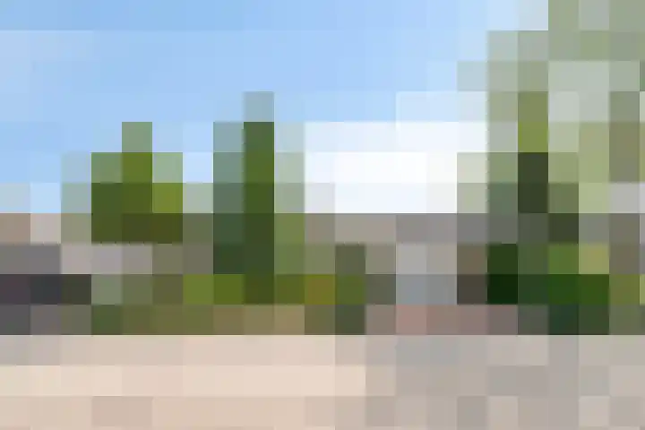 Turkoois 4 Eindhoven thumbnail 39