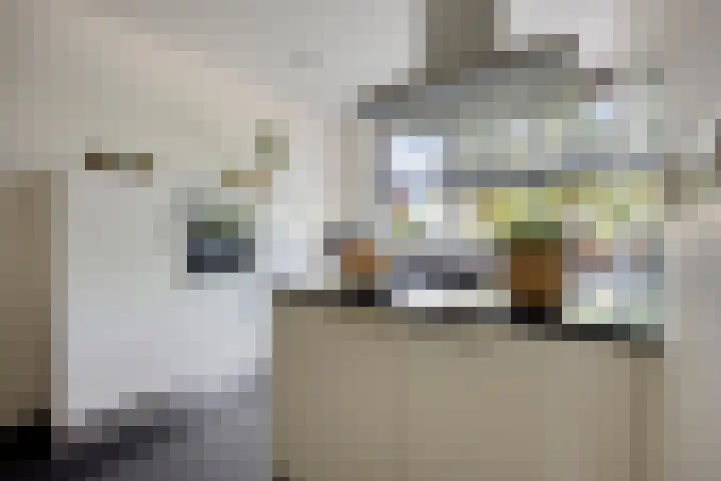 Turkoois 9 Rhoon thumbnail 10