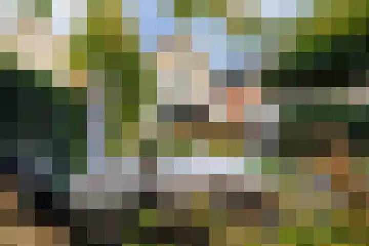 Turkoois 9 Rhoon thumbnail 21