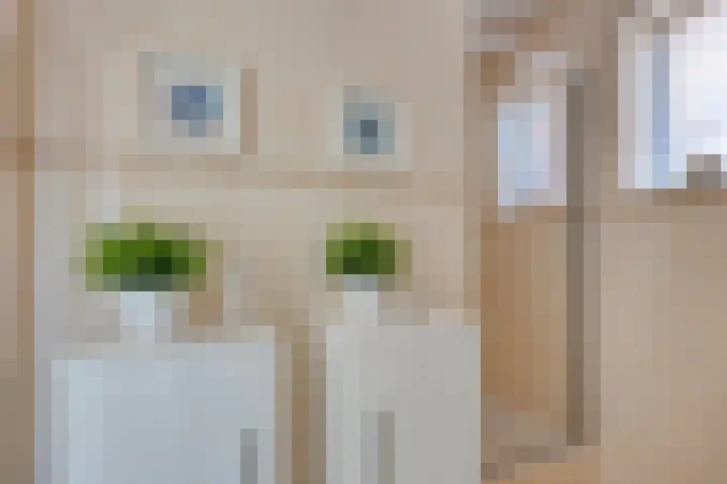 Turkoois 9 Rhoon thumbnail 23