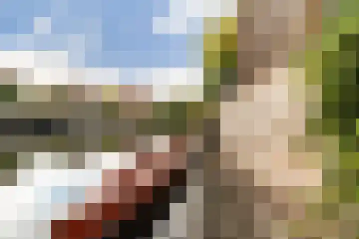 Turkoois 9 Rhoon thumbnail 27