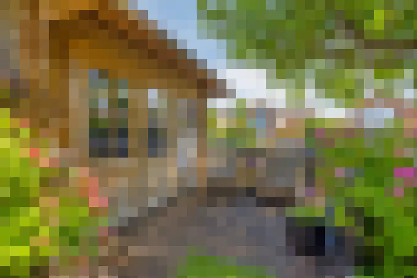 Turkoois 9 Rhoon thumbnail 47