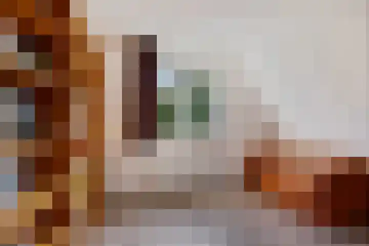 Turkooisdreef 8 Emmen thumbnail 31