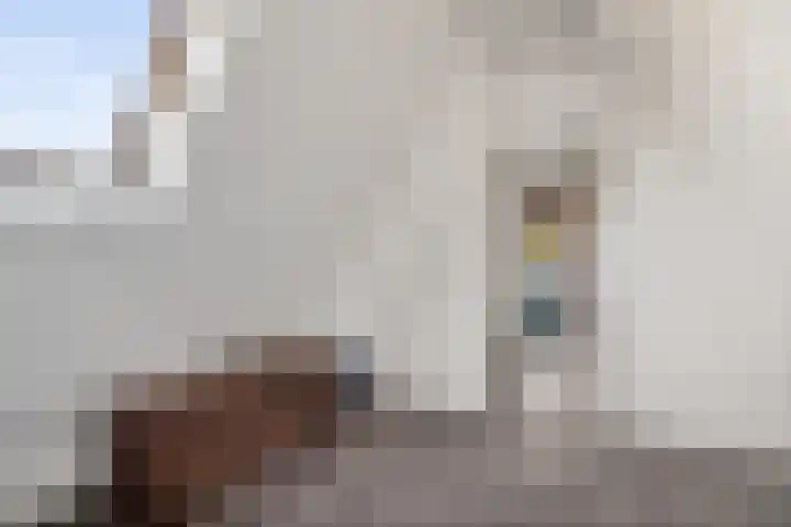 Turkooisdreef 8 Emmen thumbnail 35