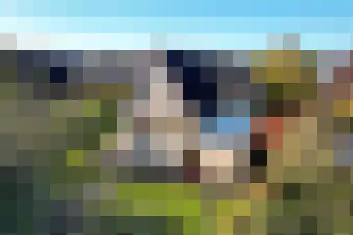 Turkooisdreef 8 Emmen thumbnail 45