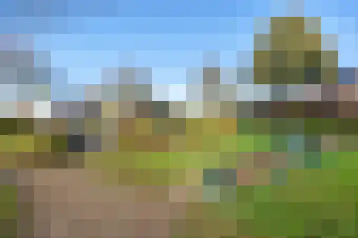 Turkooisdreef 8 Emmen thumbnail 47