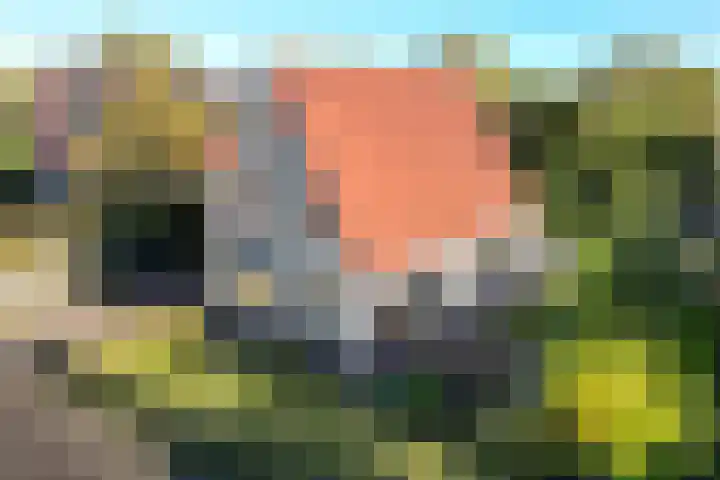 Turkooisdreef 8 Emmen thumbnail 8