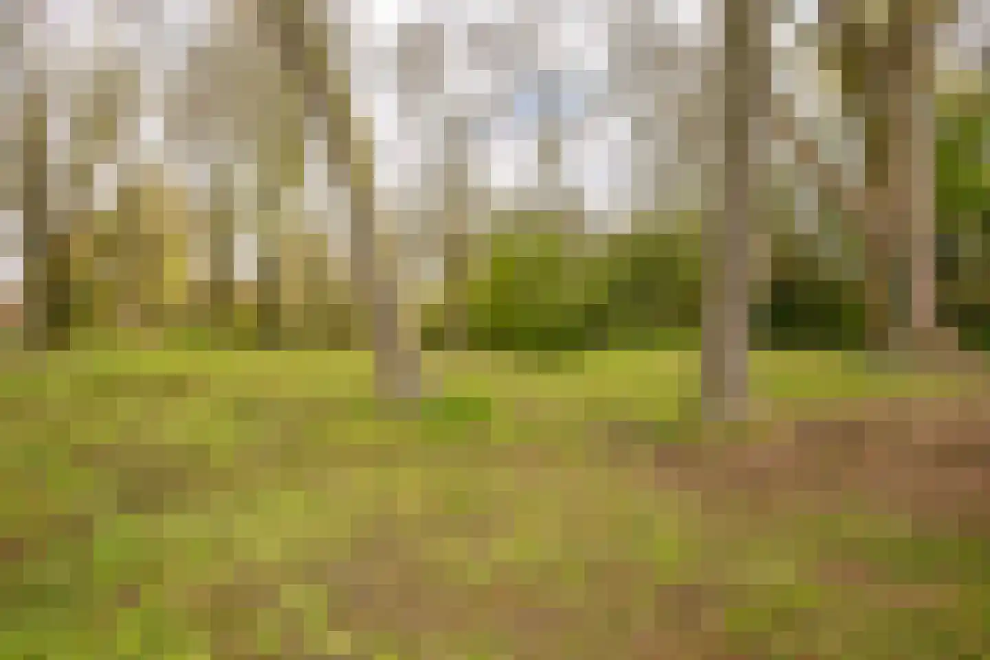 Turkooisdrift 21 Nieuwegein thumbnail 33
