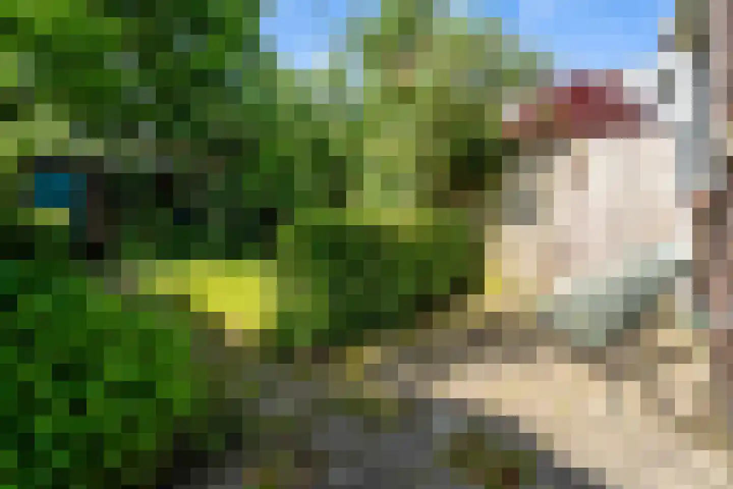 Turkooishof 46 Breda thumbnail 15