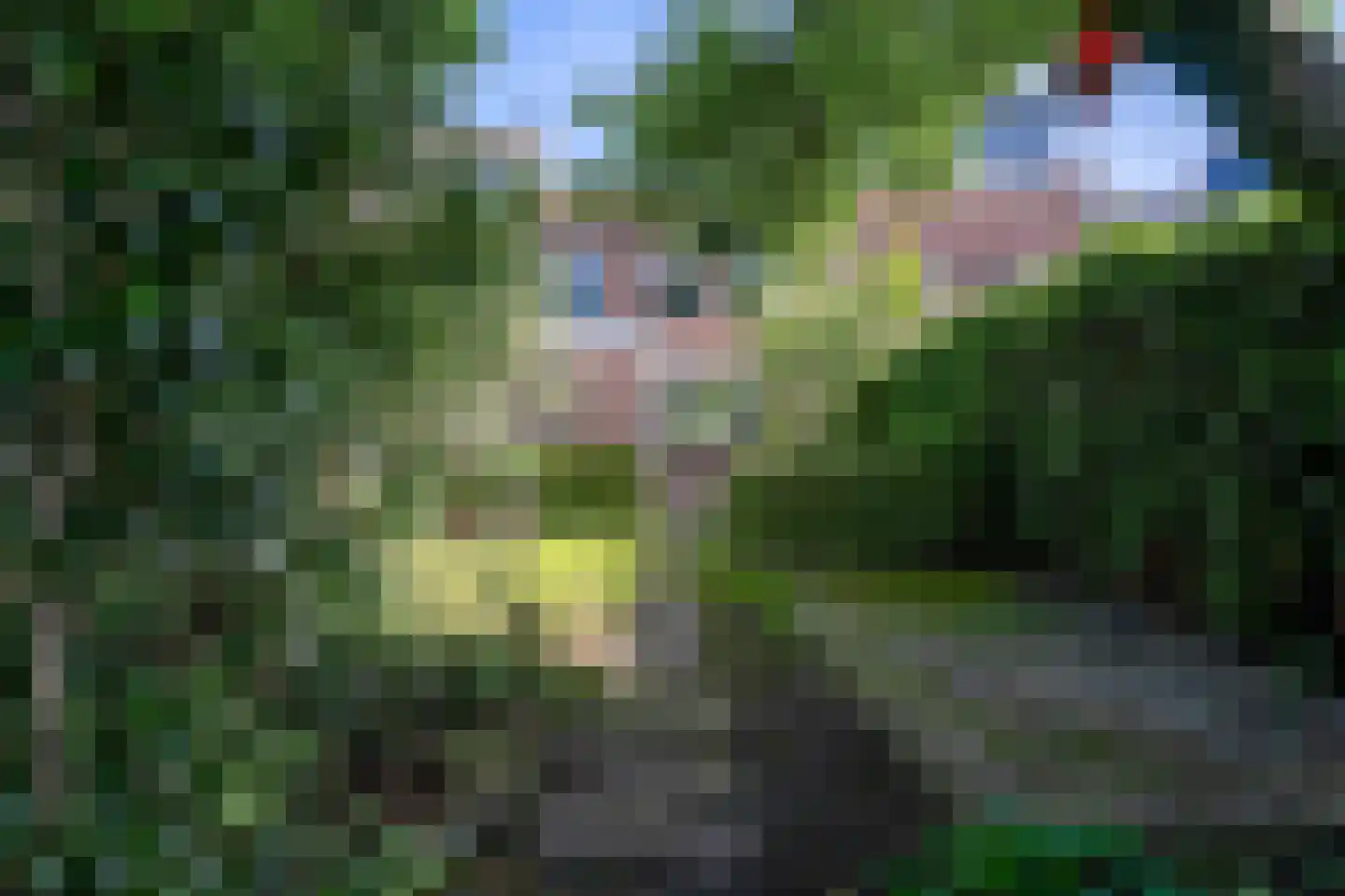Turkooishof 46 Breda thumbnail 17