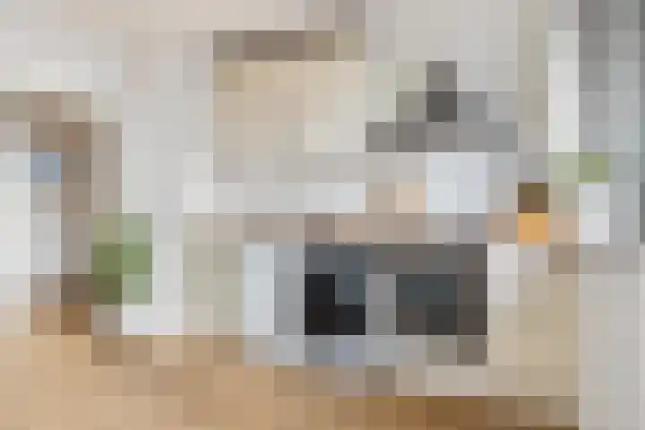 Turkooislaan 101 Utrecht thumbnail 10