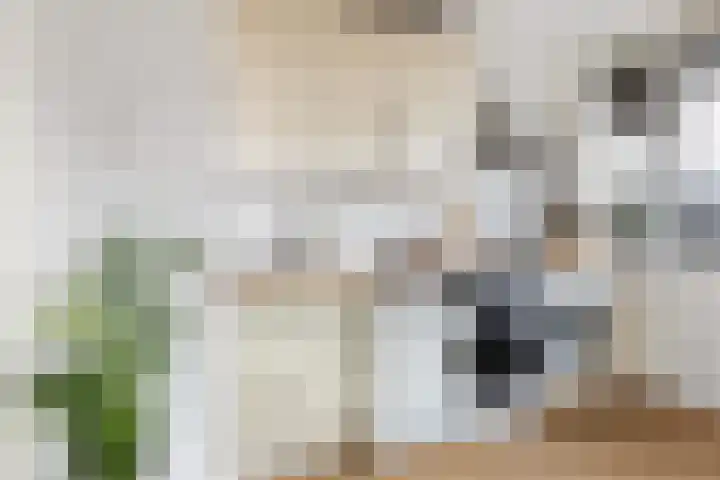 Turkooislaan 101 Utrecht thumbnail 11