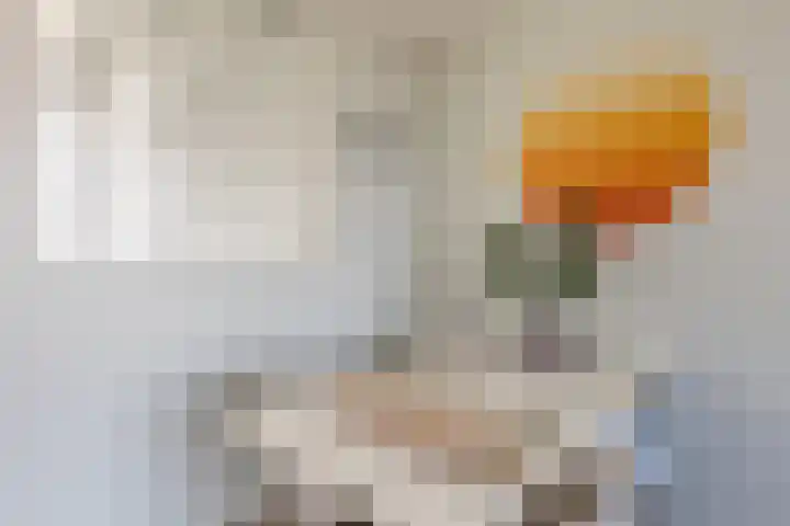 Turkooislaan 101 Utrecht thumbnail 7