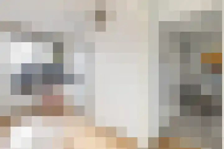 Turkooislaan 101 Utrecht thumbnail 8