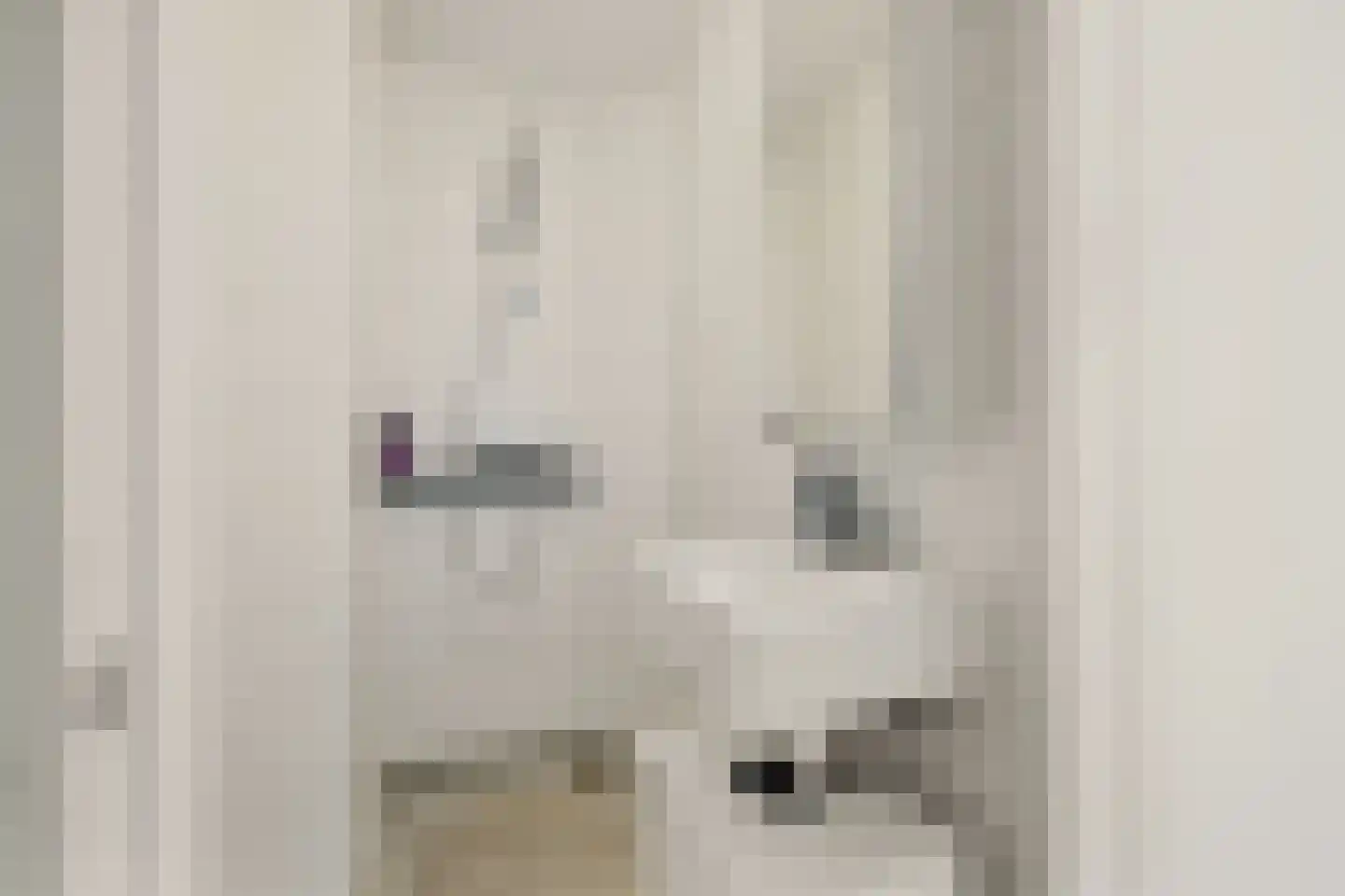 Turkooislaan 65 Utrecht thumbnail 30