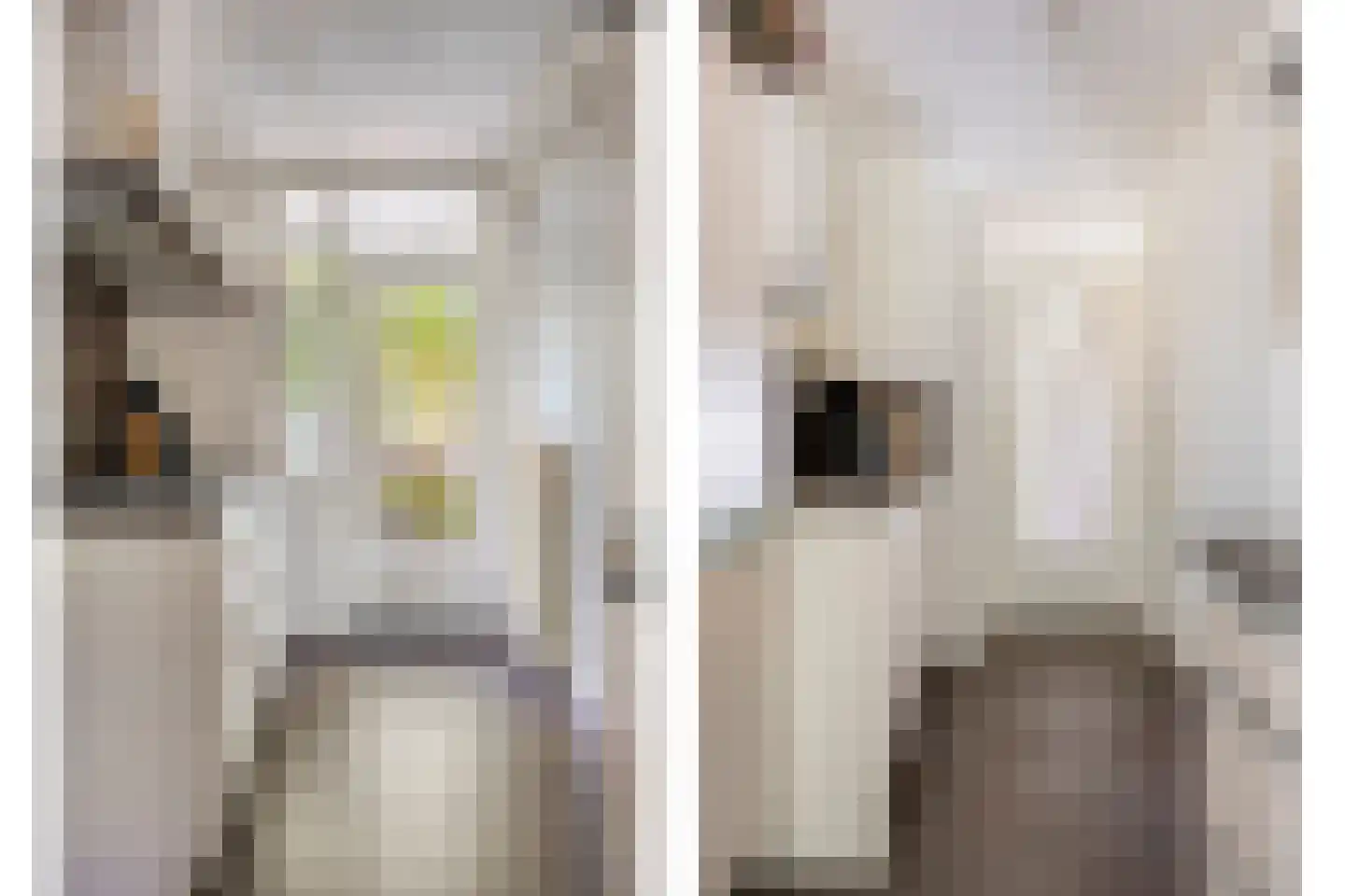 Turkooisstraat 1 Nijmegen thumbnail 23