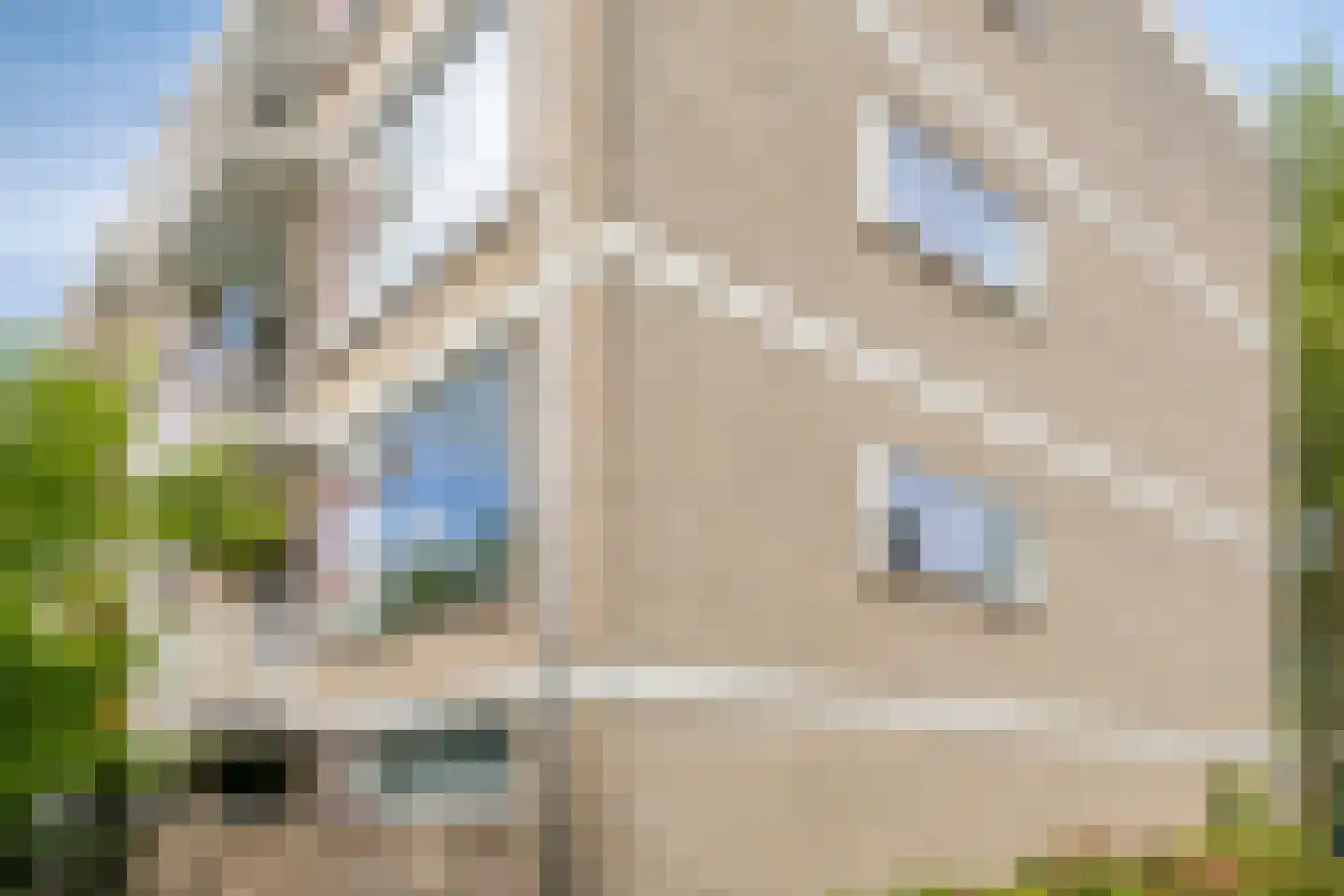 Turkooisstraat 1 Nijmegen thumbnail 36